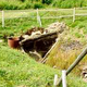 Illustration for article titled Is the Ark of the Covenant Really Buried on a Small Canadian Island?